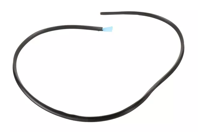 15881431 - Body: Outer Seal for Chevrolet: Corvette Image