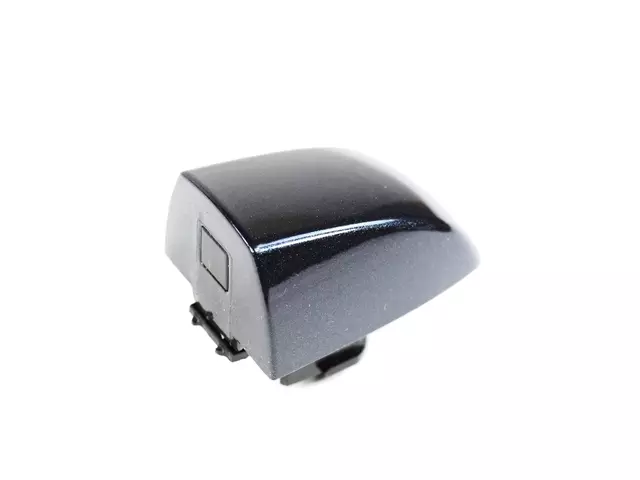 1SX16KARAC - Doors, Door Mirrors and Related Parts: Door Handle Cap for Chrysler: 300 Image