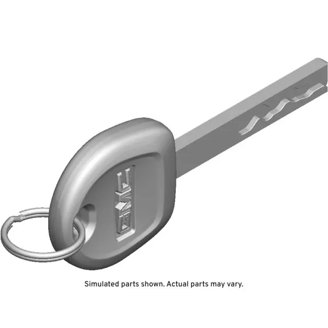 13520300 - : Door Lock And Ignition Key for GM Image