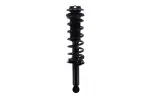 1355003 - : Focus Auto Parts Suspension Strut and Coil Spring Assembly for Focus Auto Parts Image