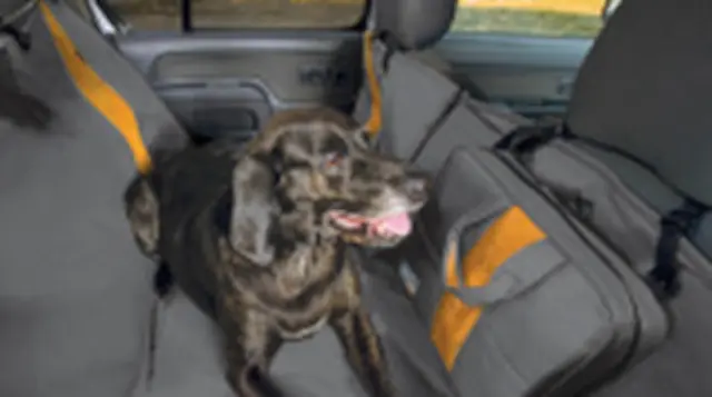 PTN5989232 - Interior: Kurgo Wander Hammock for Toyota: 4Runner, bZ4X, Corolla Cross, Grand Highlander, Highlander, RAV4, RAV4 Prime, Tacoma, Tundra, Venza Image