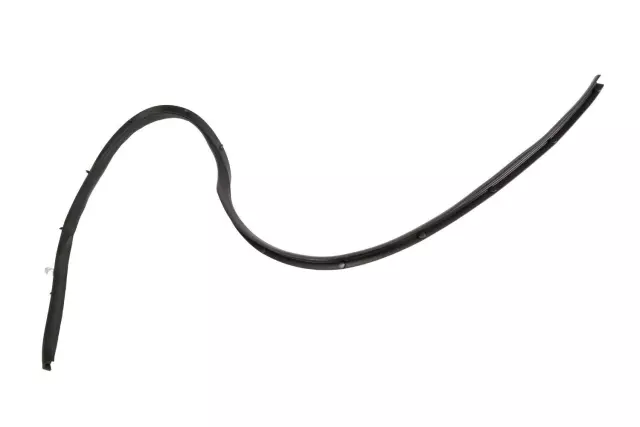 10331659 - Body: Weatherstrip for Buick: LaCrosse Image image