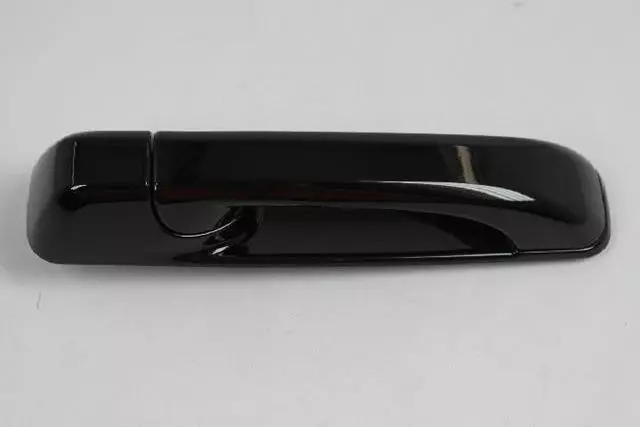 1GH18ARHAD - Doors, Door Mirrors and Related Parts: Exterior Door Handle, Right for Mopar Image