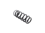 68532765AA - : Front Coil Spring, Right for Jeep: Grand Wagoneer, Wagoneer Image