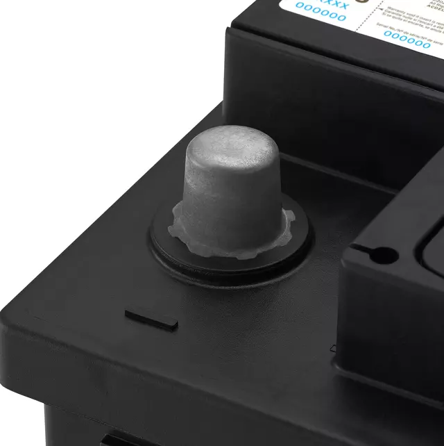 Battery - ACDelco (LN1G)