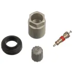 20007 - : TPMS Service Kit 20007 (Clamp-in Components) for Schrader TPMS Solutions Image