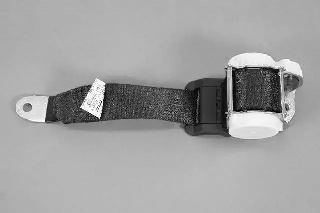 1AN35GT5AD - : Seat Belt for Mopar Image