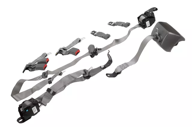 F Belt Kit - GM (19369262)