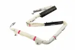 85530944 - : F Airbag for GM Image