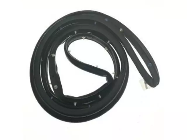 Door Weather-Strip - Ford (DS7Z-5420531-C)