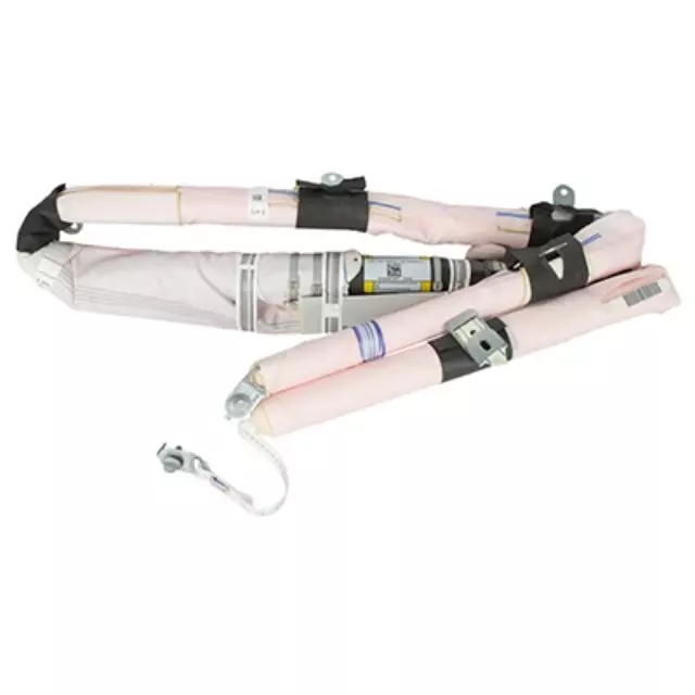 ML3Z16042D95B - : Head Air Bag for Ford: F-150, F-150 Lightning Image