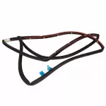 BM5Z5820709B - : Door Weather-Strip for Ford: Focus Image