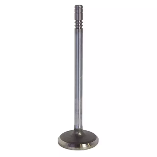 2007-2016 Ford Engine Exhaust Valve - Ford (6W7Z-6505-BA)