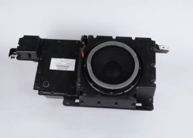 Rear Radio Speaker Subwoofer with Enclosure - GM (15283016)