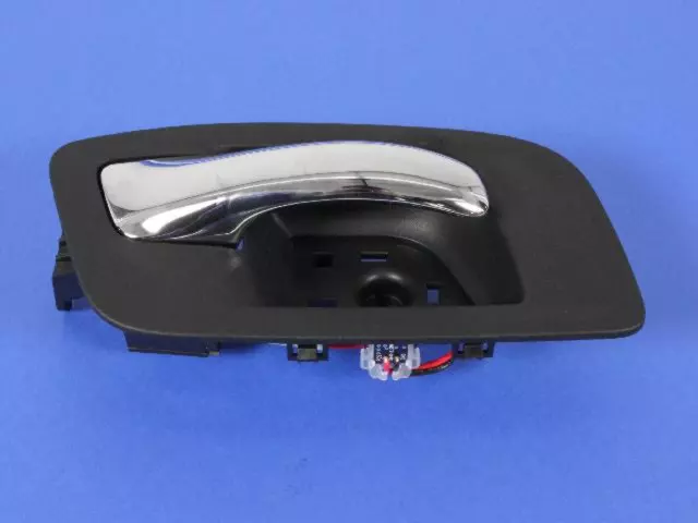 1RE72DX9AG - Body: Handle, Inside for Dodge: Charger Image