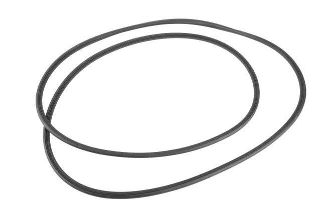 Sunroof Window Seal - GM (84400416)