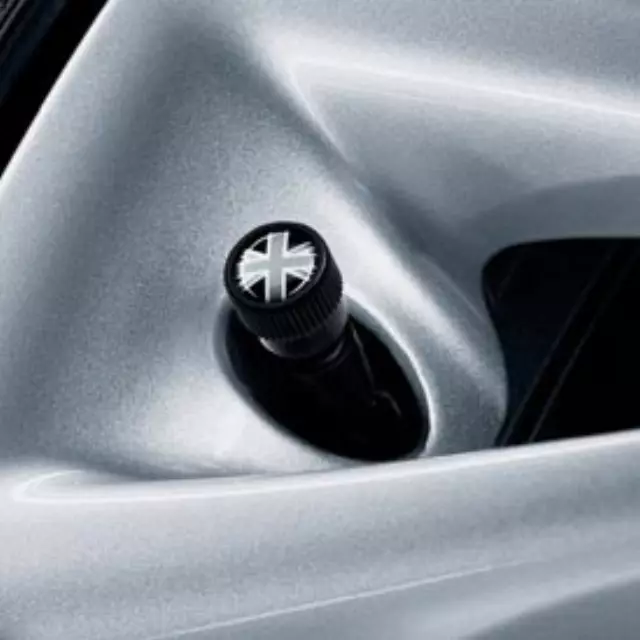 Valve Stem Caps - Black Jack - Black - Mini (36-11-2-211-235)