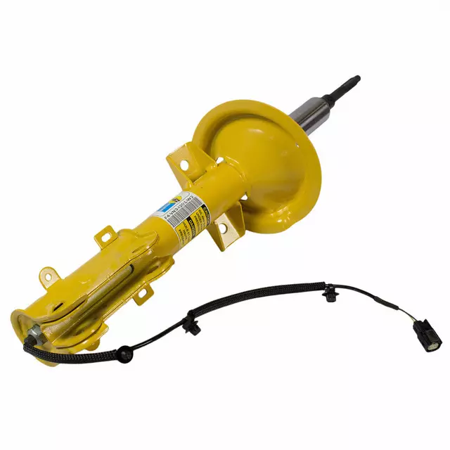 Strut - Ford (DR3Z-18124-E)