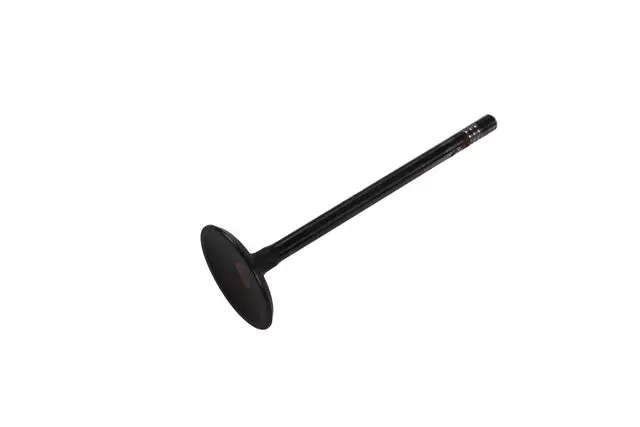12652463 - : Intake Valve for Cadillac: CT5, CT6 Image