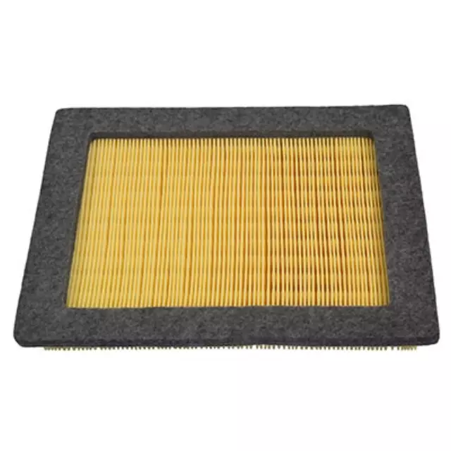 Air Filter - Ford (4L3Z-9601-BA)