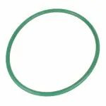 CG816 - Fuel System: Motorcraftâ„¢ Sending Unit Gasket for Ford: Mustang Image