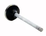 V4429 - : Engine Exhaust Valve for Enginetech Image