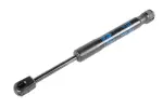 85614883 - Body: Trunk Lid Lift Support for GM Image
