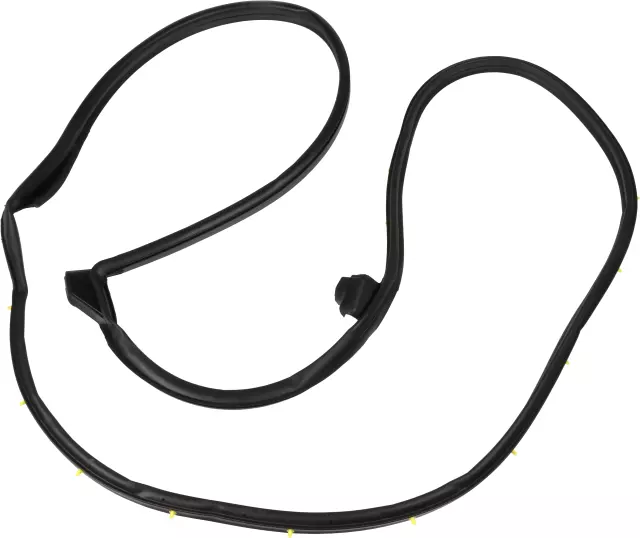 808313KA0D - Body: Surround Weather-strip for Nissan: Pathfinder Image