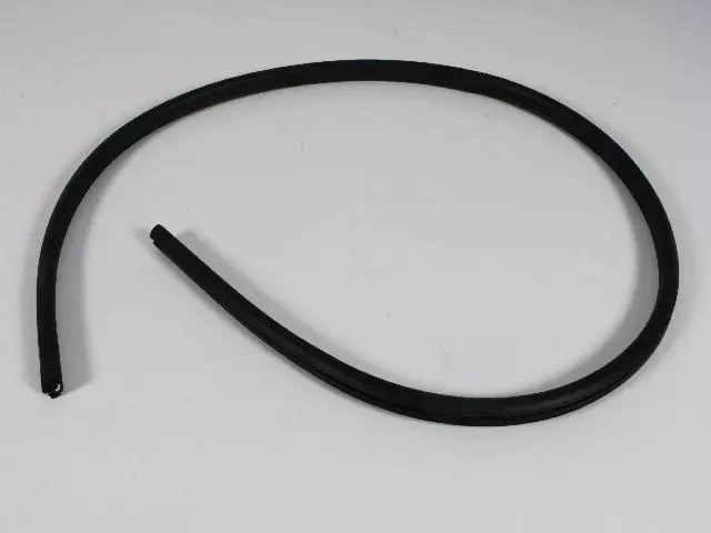 Rear Aperture Panel Glass Weatherstrip, Right & Left - Mopar (4894635AC)