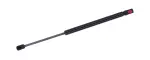 613299 - : Hood Lift Support for Tuff Support Image