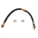 19174064 - : Hose for GM Image