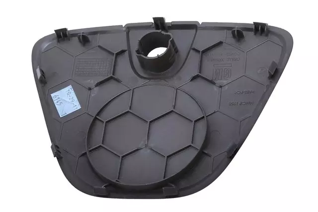 20986030 - Body: Center Cover for GM Image image