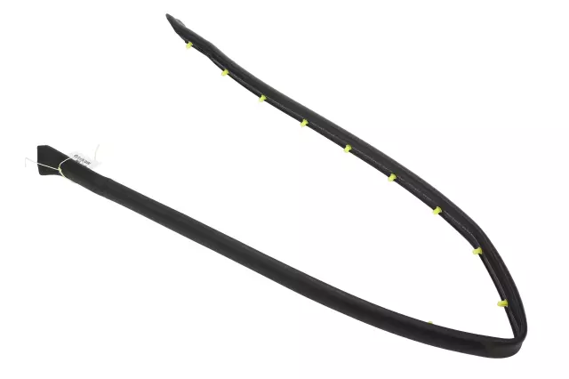 84523626 - Body: Front Weather-strip for GM Image