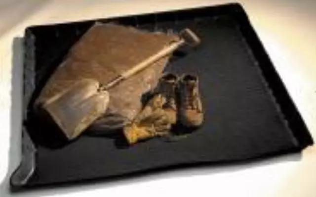 4L1Z7811600AAB - Interior: Cargo Area Protector for Ford Image