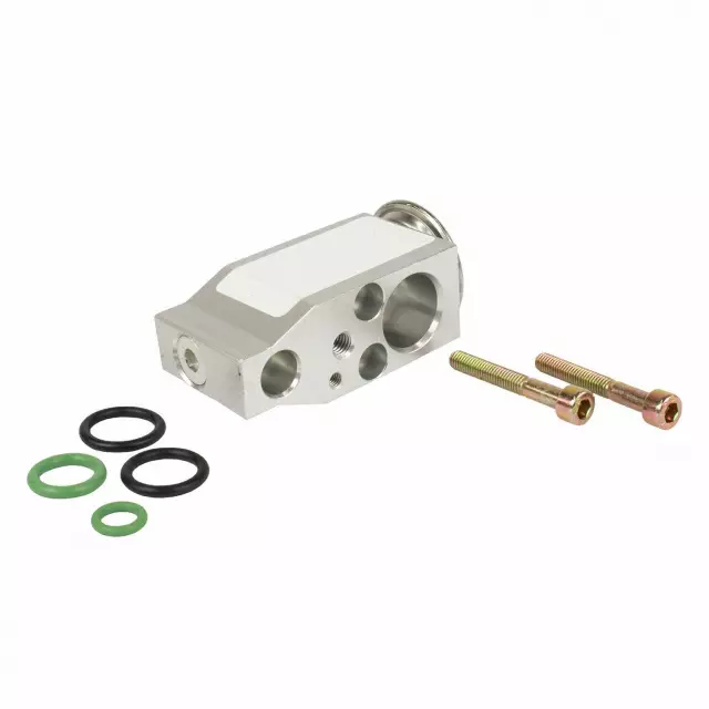 Valve Assembly Evaporator Expansion - Ford (QYG-171)