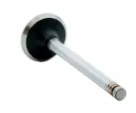 V2427 - : Engine Exhaust Valve for Enginetech Image
