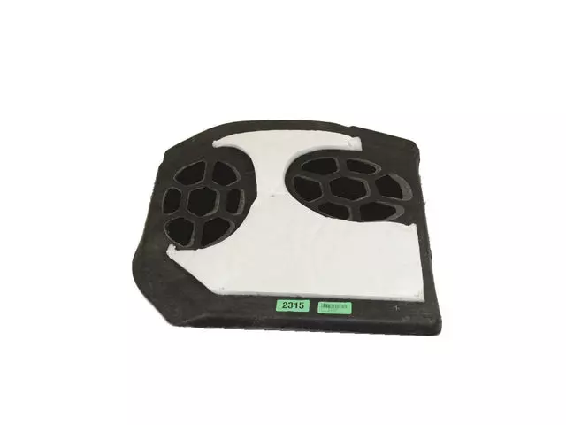 Insert Carpet, Right - Mopar (1WS40DX9AC)