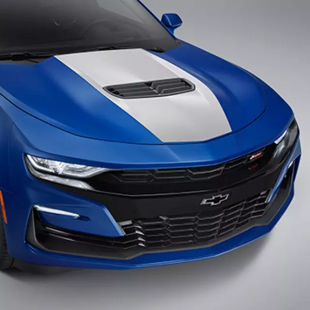 Center Stinger Stripe - GM (84356672)