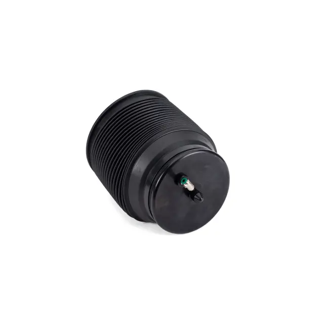 A3331 - : Arnott Air Suspension Spring for Arnott Image