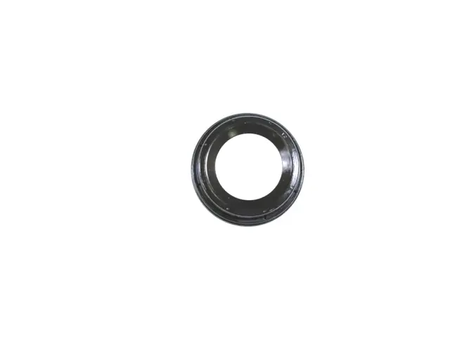 4893803AA - Engine: Seal, Left Side for Mopar Image