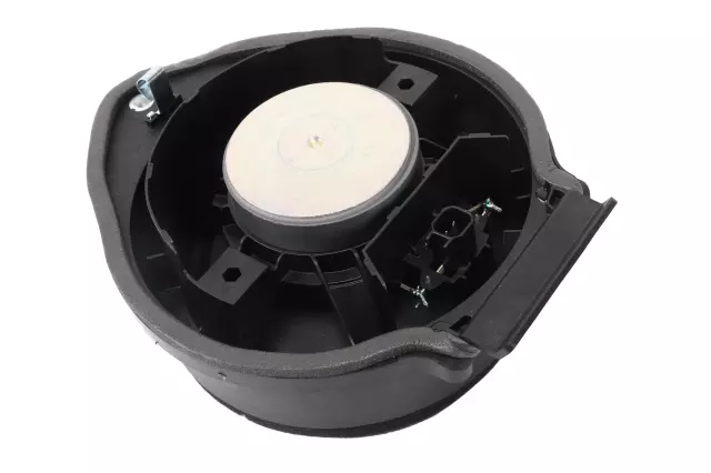 Front Dr Speaker - GM (85123411)