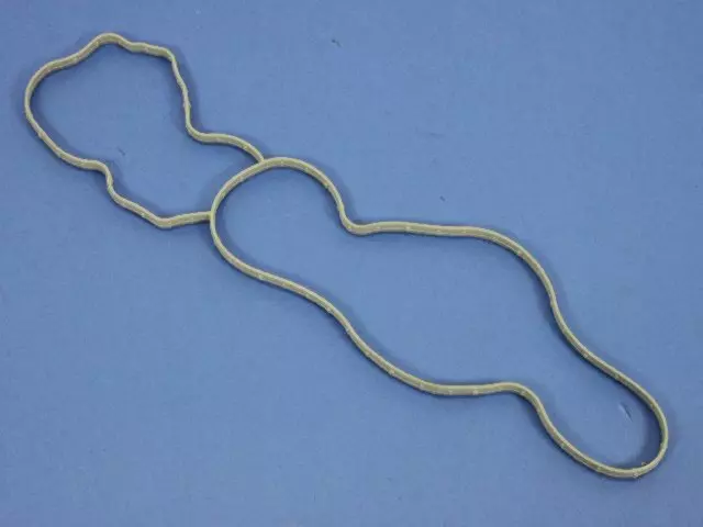 Water Pump Gasket - Mopar (68391488AB)