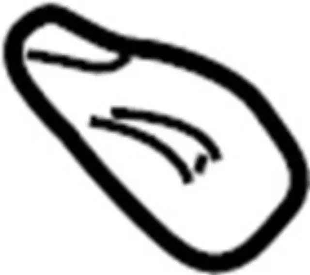 2626189962 - Electrical: Tail Lamp Bulb for INFINITI: FX35, FX37, FX45, FX50, G25, G35, G37, JX35, M45, Q45, Q60, QX56, QX60, QX70, QX80 Image