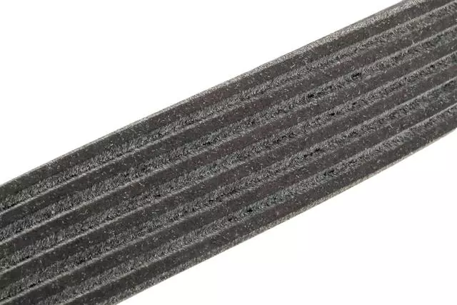 12569527 - Cooling System: Serpentine Belt for GM Image