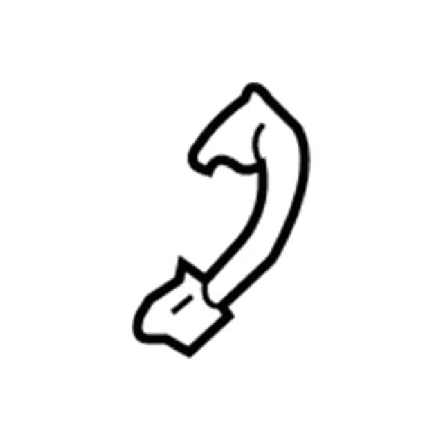 4L3Z1631407AAC - Body: Grip Handle for Ford: F-150 Image