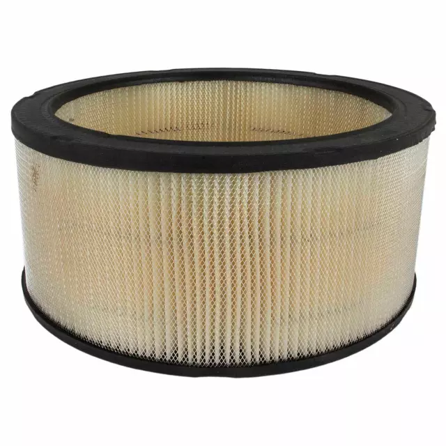 QFA107 - Unclassified: Element Assembly Air Cleaner for Ford Image