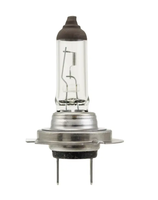 H770W - Lighting &amp; Lamps: Hella Multi-Purpose Light Bulb for Hella Image