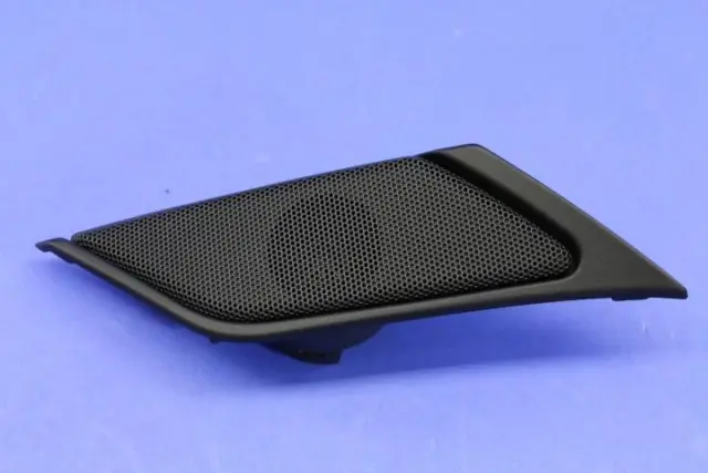 Speaker Grille - Mopar (1WQ62DX9AB)