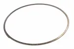 24284522 - : F (S)Ring for GM Image
