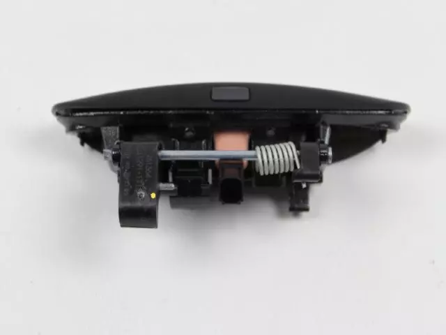 1MZ84RXFAJ - Doors, Door Mirrors and Related Parts: Front Door Exterior Handle, Right for Dodge: Charger Image